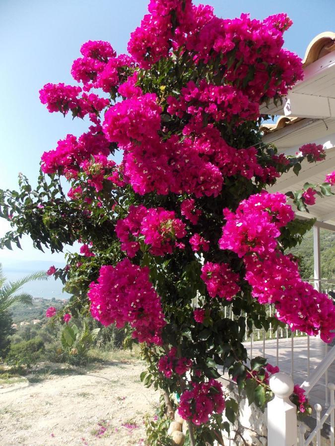 Vila Vasiliki View Ágios Pétros Exteriér fotografie